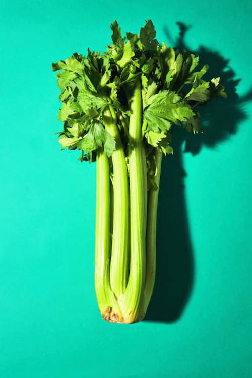 کرفس سبز ممتاز تازه مناسب بسته‌ بندی صادراتی حرفه‌ ای